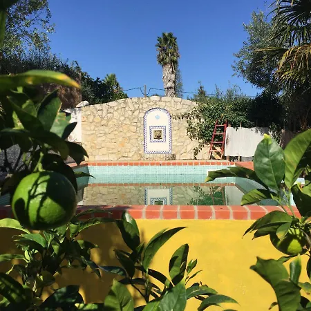 Lovely Quinta In Nature With Pool - Tomar *