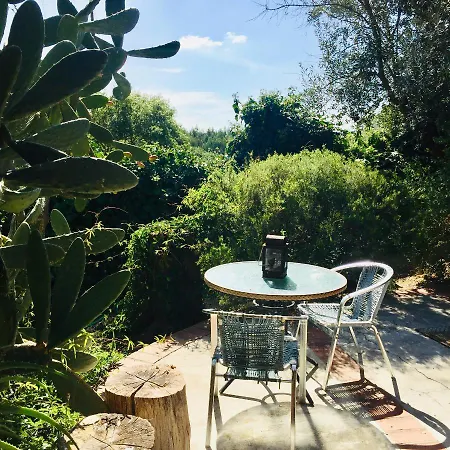 Lovely Quinta In Nature With Pool - Tomar Holiday home Pero Calvo