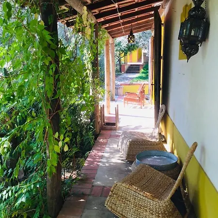 Holiday home Lovely Quinta In Nature With Pool - Tomar Pero Calvo