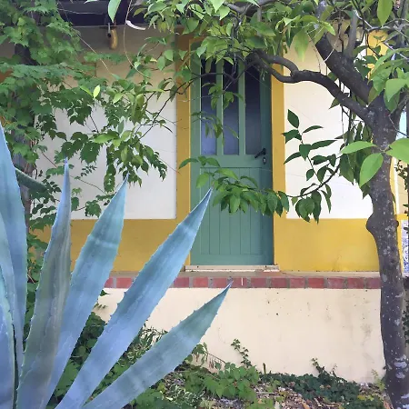 Σπίτι διακοπών Lovely Quinta In Nature With Pool - Tomar Pero Calvo