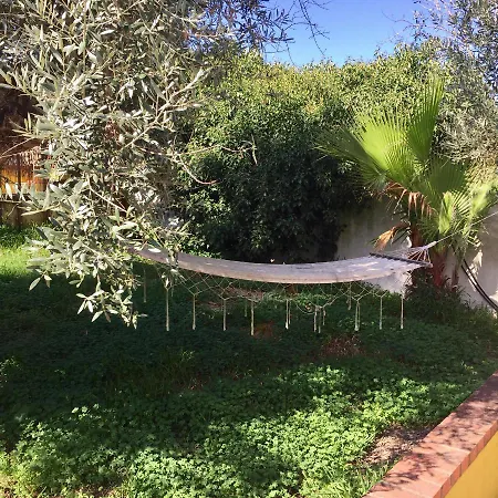Lovely Quinta In Nature With Pool - Tomar *