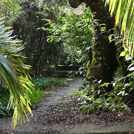 Lovely Quinta In Nature With Pool - Tomar Pero Calvo